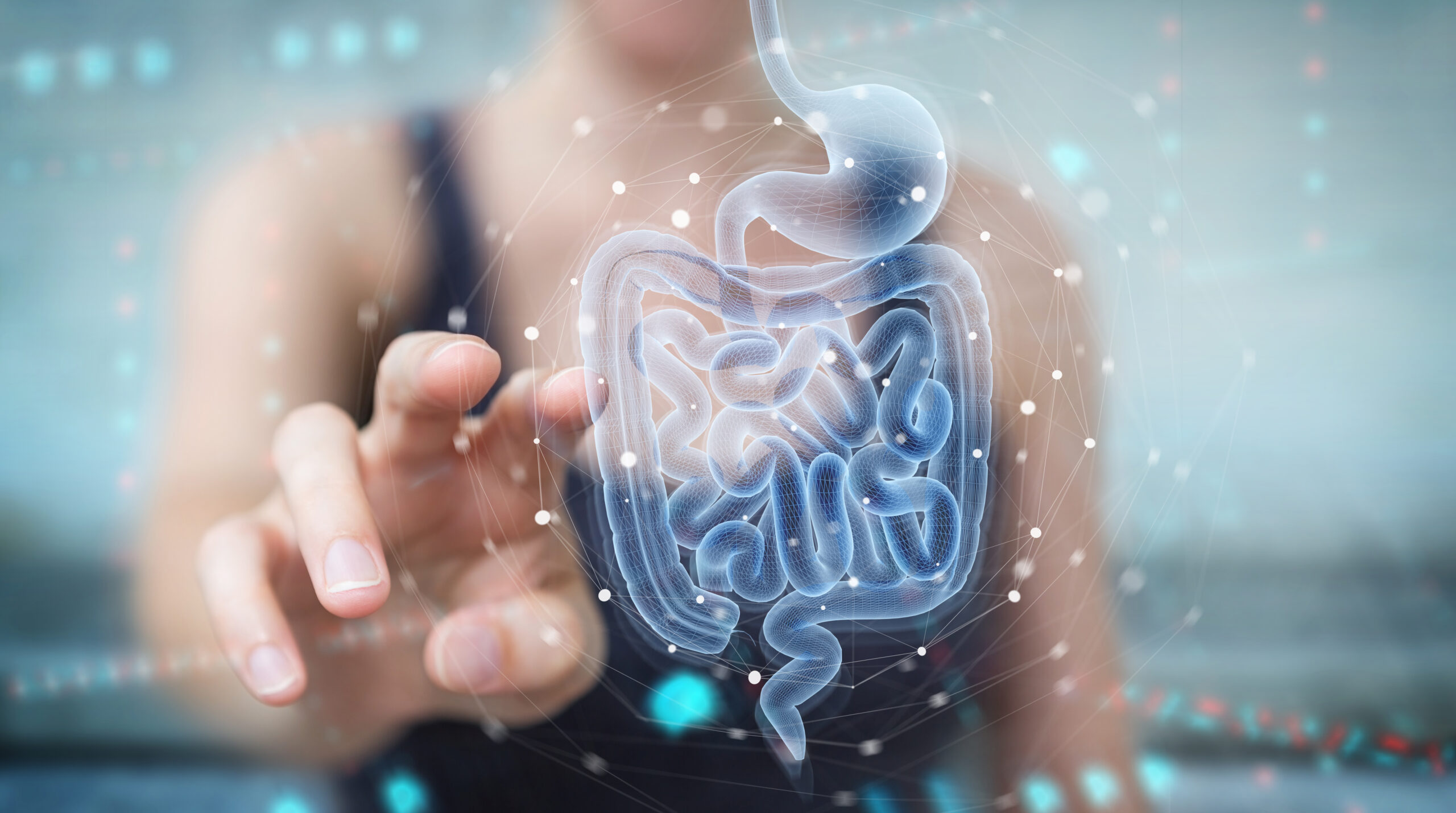Symbolbild Verdauung: Frau mit digitaler Darm-Projektion für Prebiotika und Enzyme